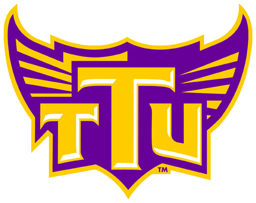 Tennessee Tech Golden Eagles 2006-Pres Alternate Logo v8 iron on transfers for fabric